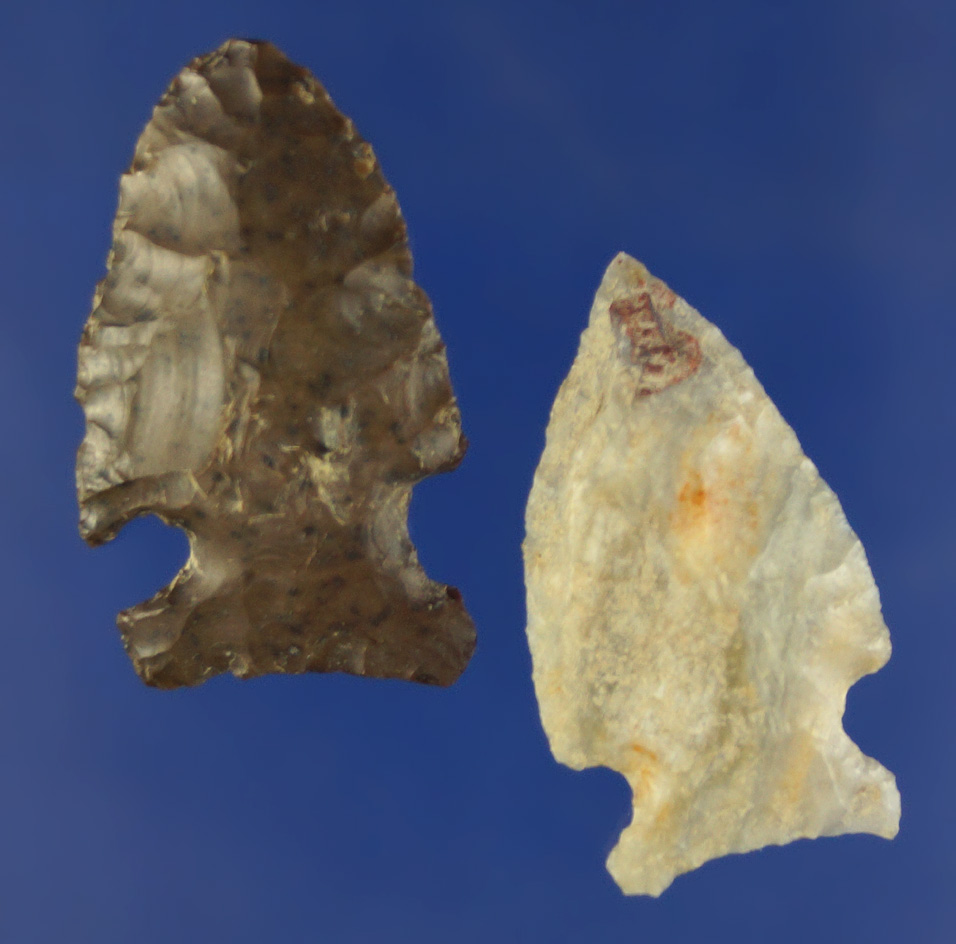 Pair of Cold Springs points found near Pasco Washington by the Columbia River