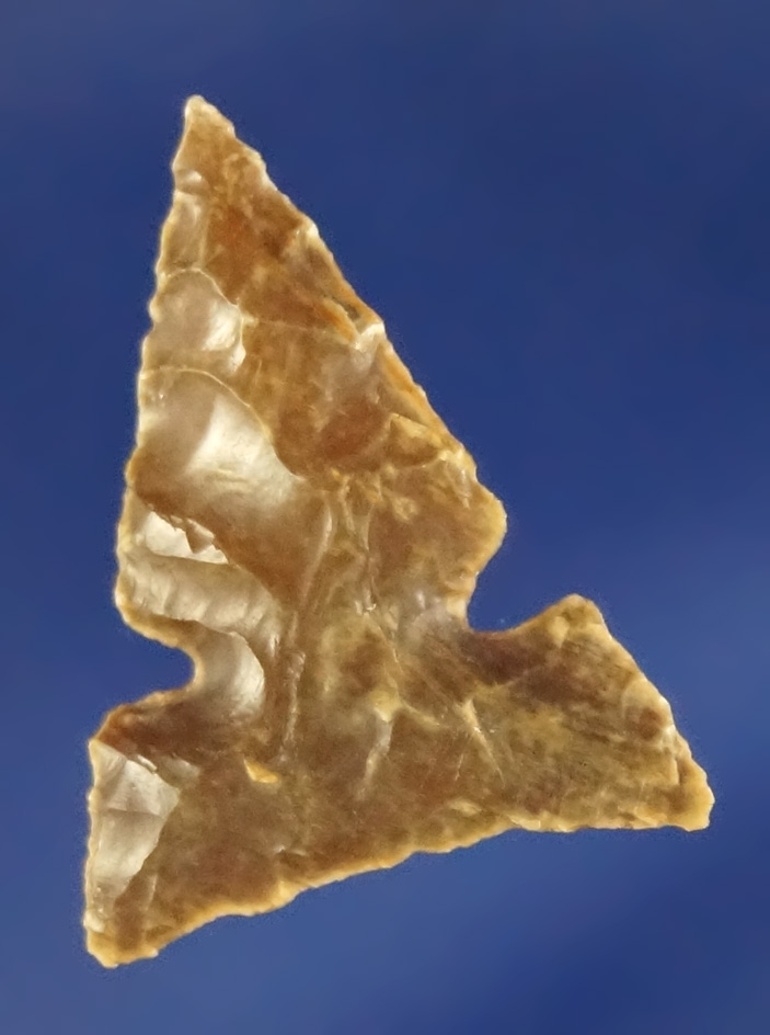 13/16" Desert Delta that is nicely flaked and well patinated found near the Dalles