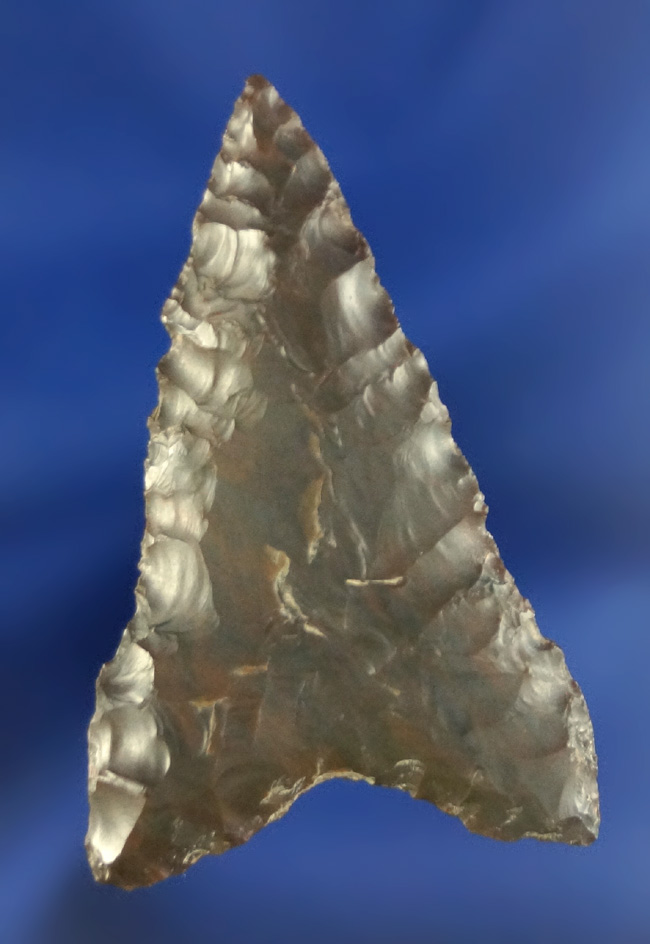 1 15/16" classic style Columbia Mule Ear found in Oregon near the Columbia River.