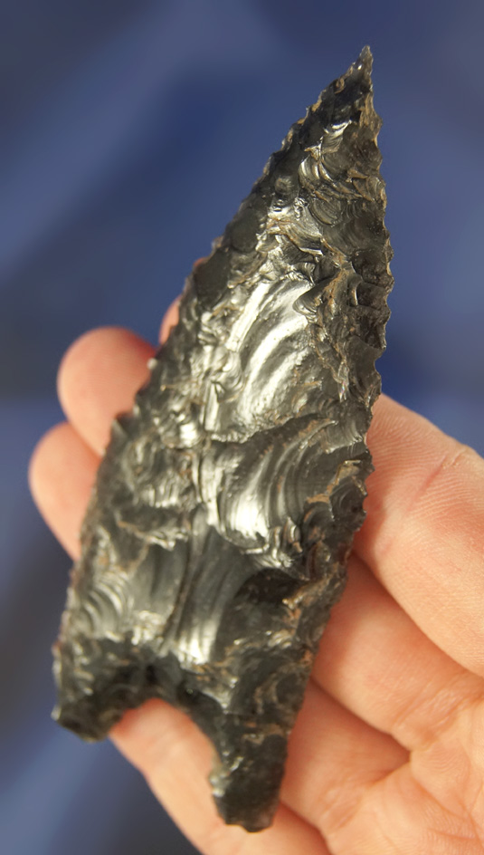 Big and nice! 3 11/16" Humboldt Basal Notch - semi translucent - Obsidian -  Stermer COA.