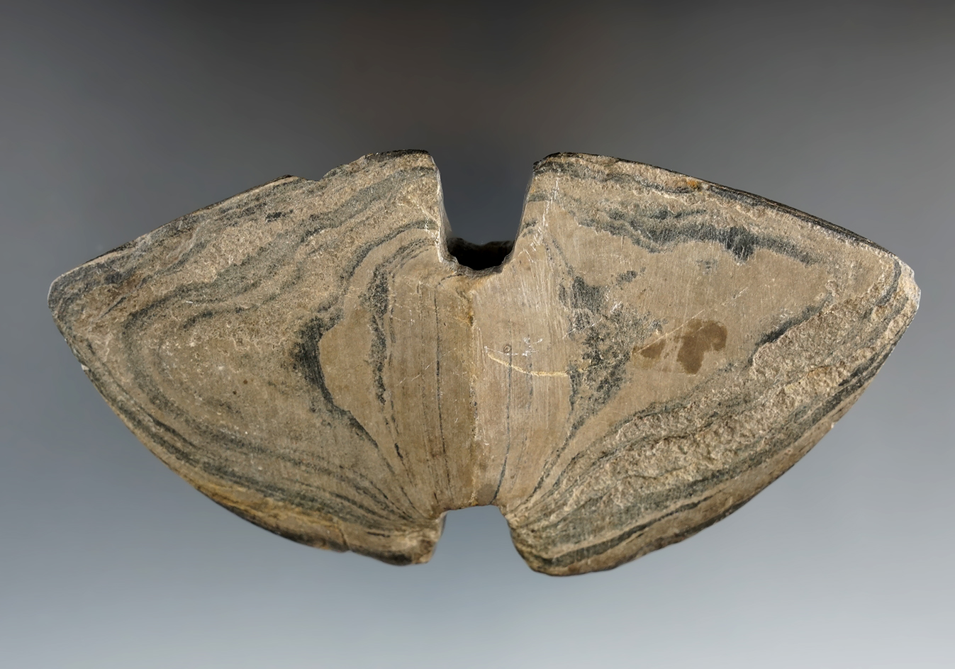 4 13/16" Double Notched Wing Bannerstone found in southern Michigan.