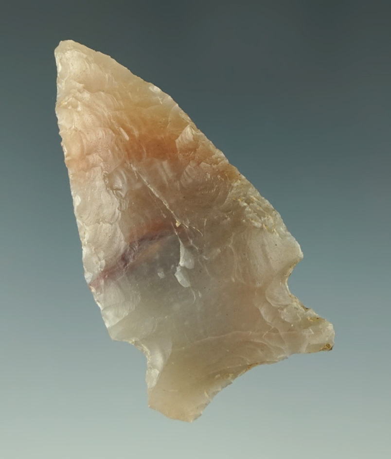 2 1/4" Hickory Ridge found in Clark Co., Arkansas -translucent Novaculite. Bennett COA.