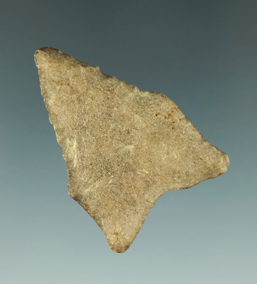 1 3/4" classic styled Dalton found in Arkansas.