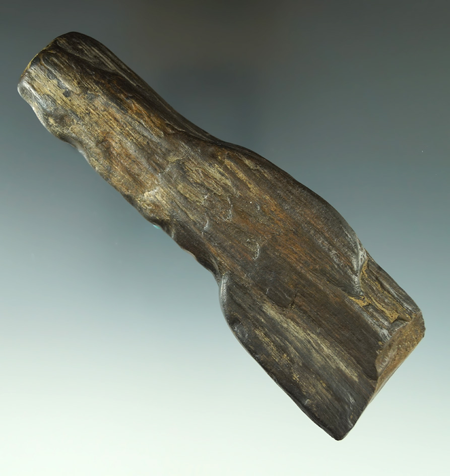 5 1/4" section of water polished Petrified Wood found near the shores of Lake Erie- Michigan.