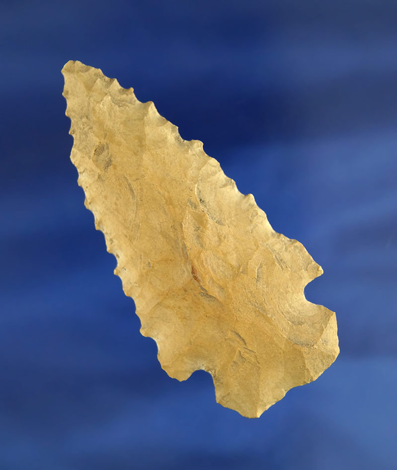 3 1/16" Archaic Serrated Knife made from Camden chert found in Montgomery Co., Kentucky.