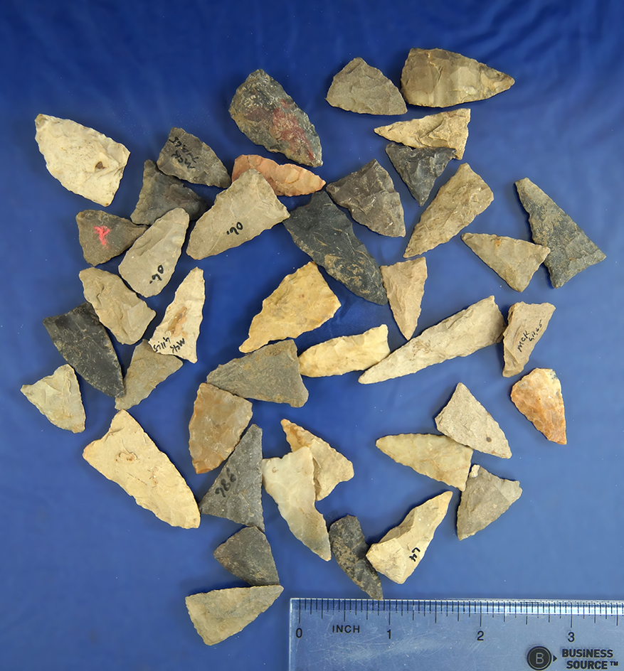 Set of 40 assorted field found Triangle points from Greenup Co., Kentucky, largest is 1 1/2".