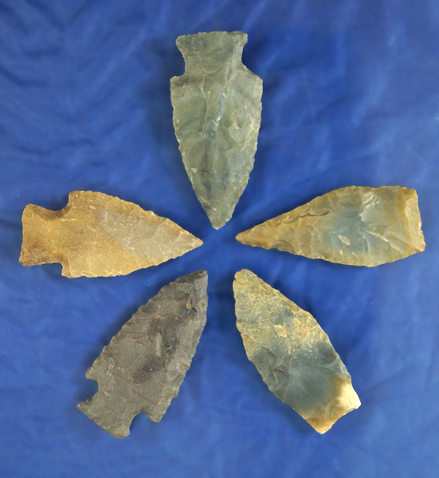 Set of five Kentucky Arrowheads in good condition, largest is 1 11/16".