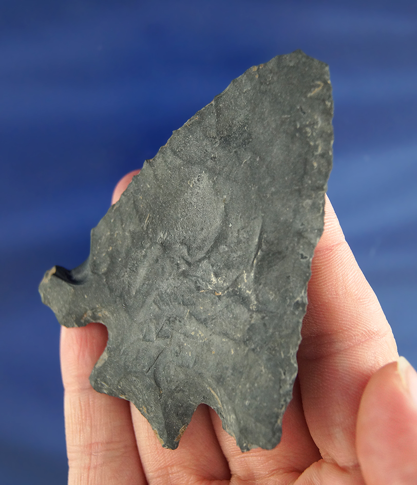 3" Conejo Knife found in Western Texas made from basalt. Comes with a Bennett COA.