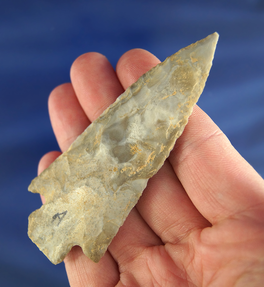 3 3/8" Hardin found in Pettis Co., Missouri.