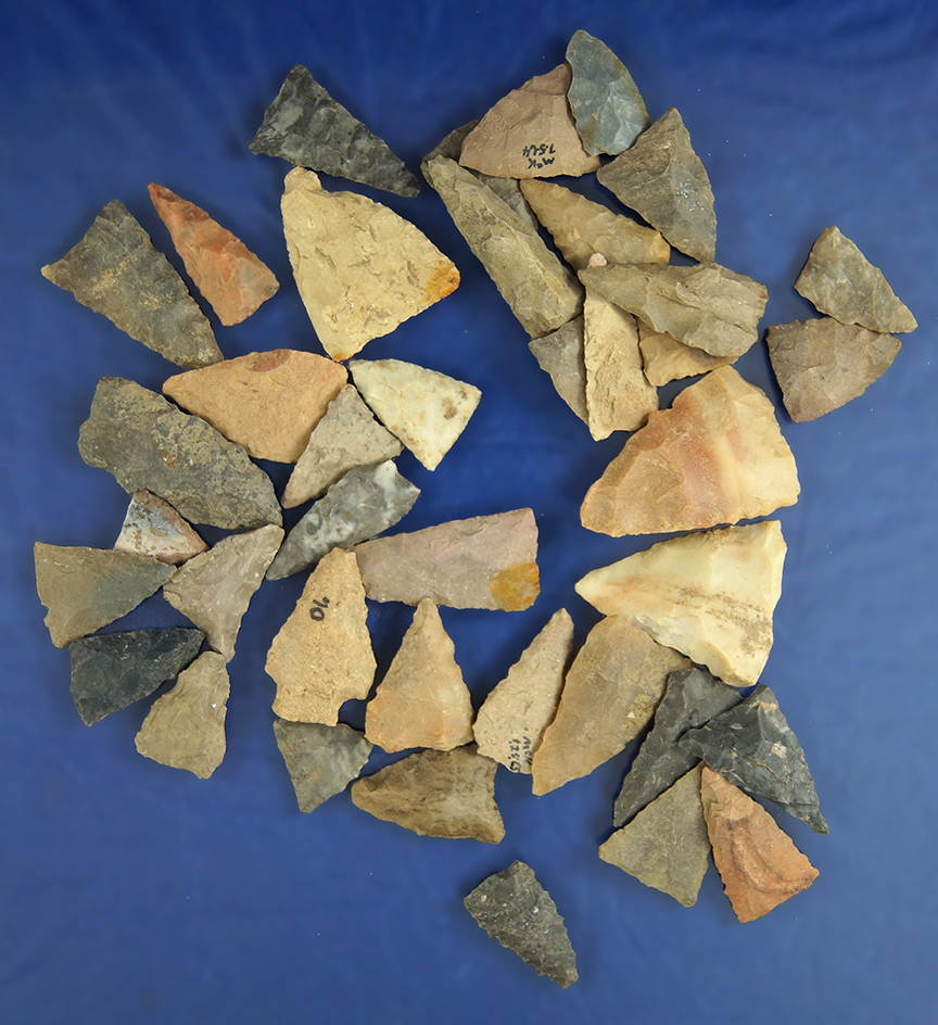 Group of 40 assorted field found Triangle points from Greenup Co., Kentucky, largest is 1 1/4".
