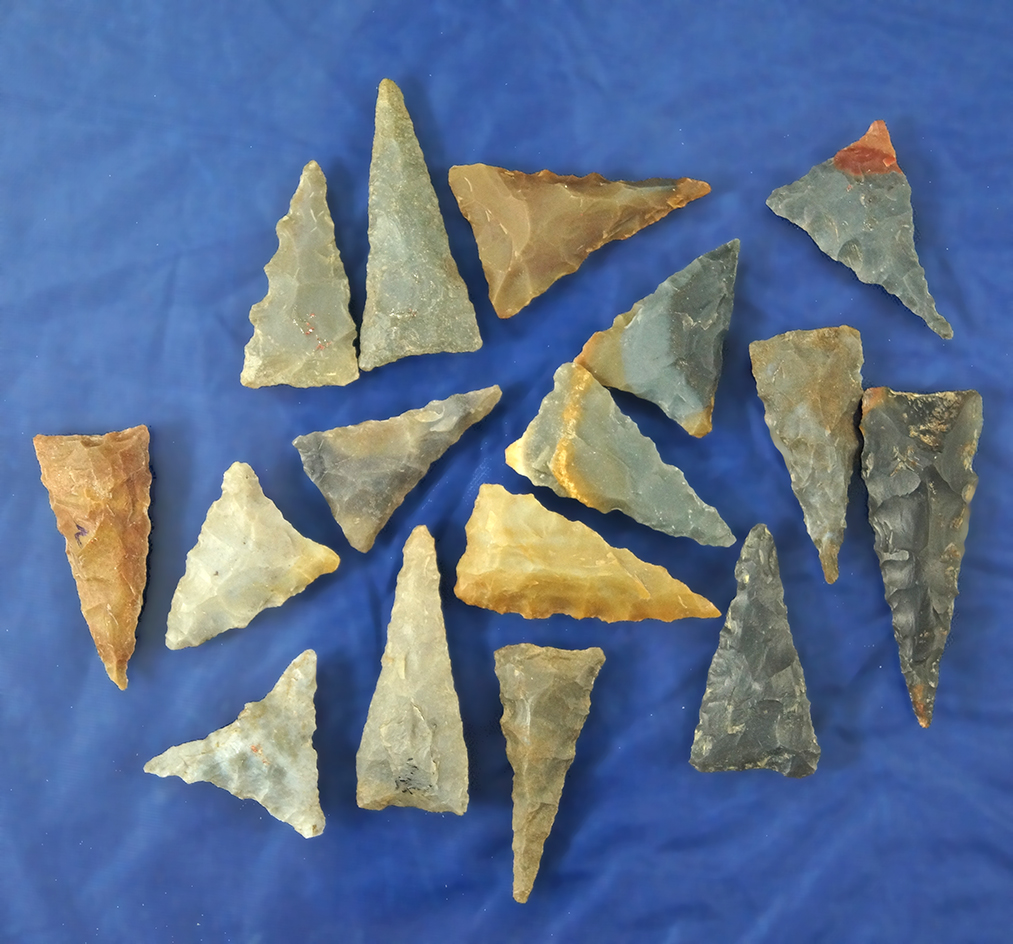 Set of 16 Kentucky Triangular Arrowheads, largest is 1 1/2".