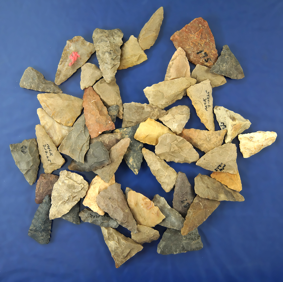 Set of 50 assorted field found Triangle points from Greenup Co., Kentucky, largest is 1 1/8".