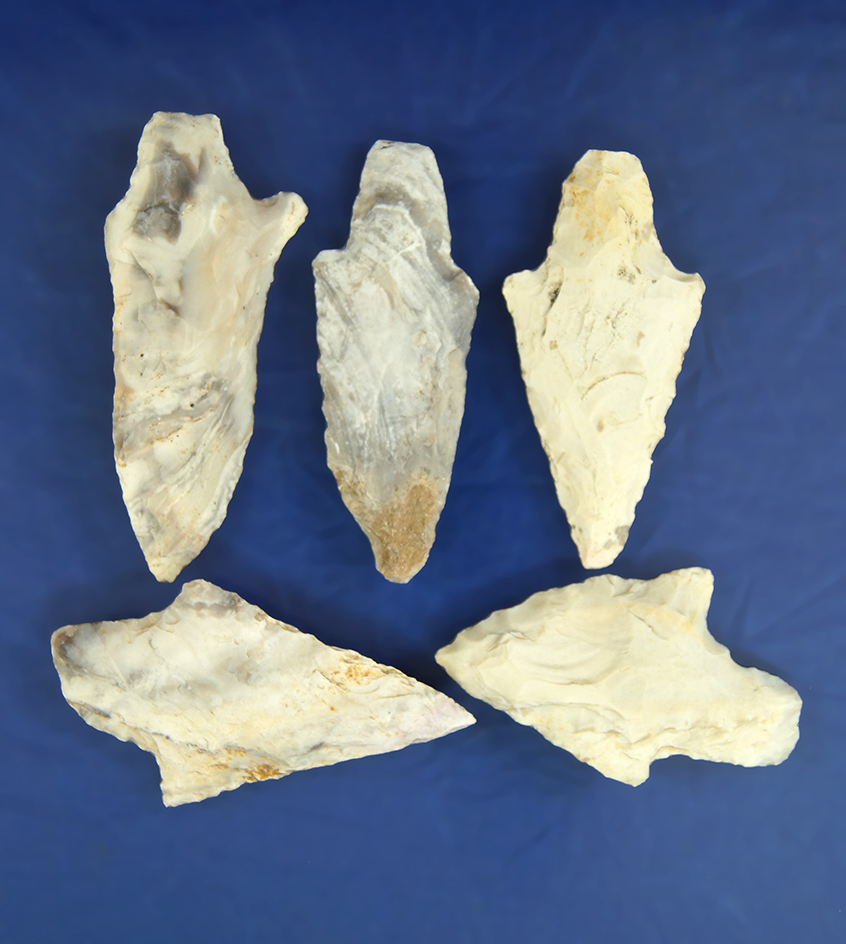 Set of five Dickson points found in Missouri, largest is 2 7/8".