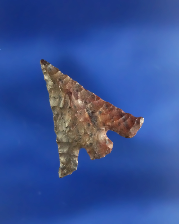 15/16" classic style Eastgate made from attractive mottled Jasper found near the Columbia River