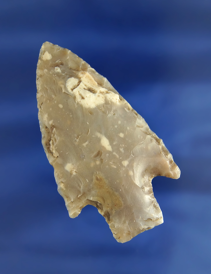 2 13/16" Bulverde found in Texas.