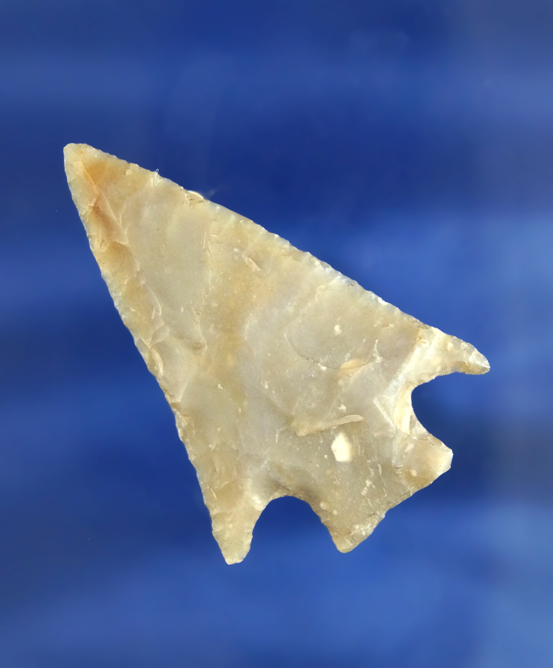 2 3/16" Marshall point that is exceptionally well flaked found in Texas. (Some felt glued to back)