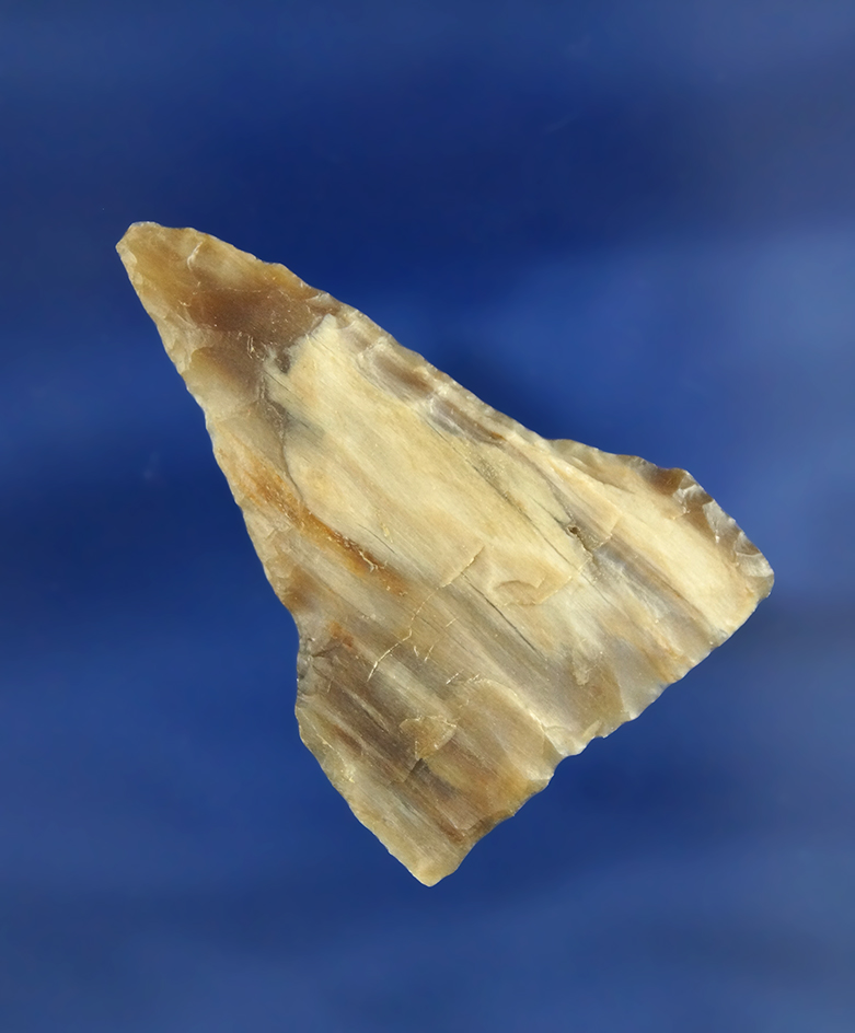 1 15/16" Plateau Pentagonal Knife made from beautifully banded semi translucent Petrified Wood  foun