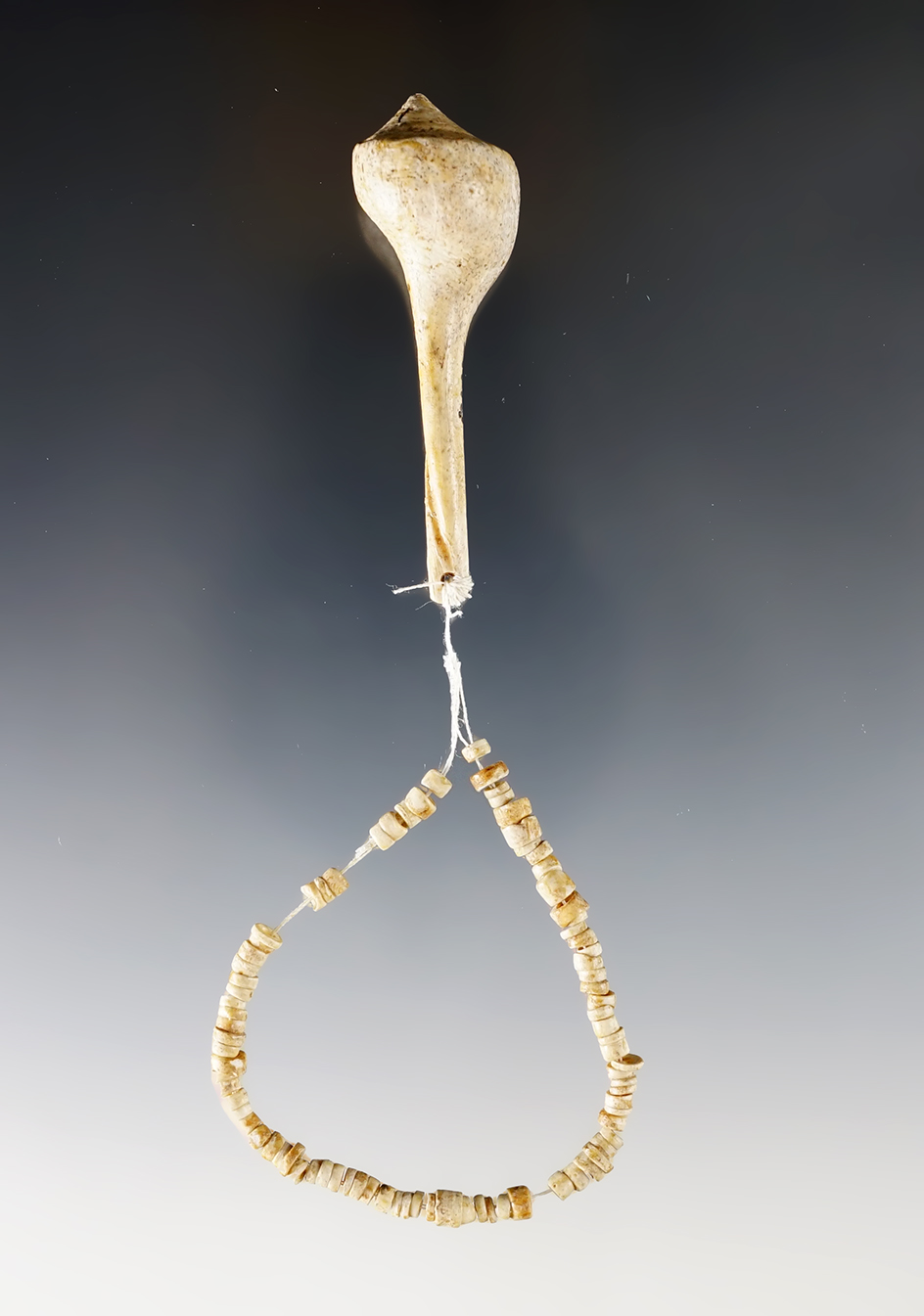 1 3/4" Miniature Conch Shell with Shell Beads. 