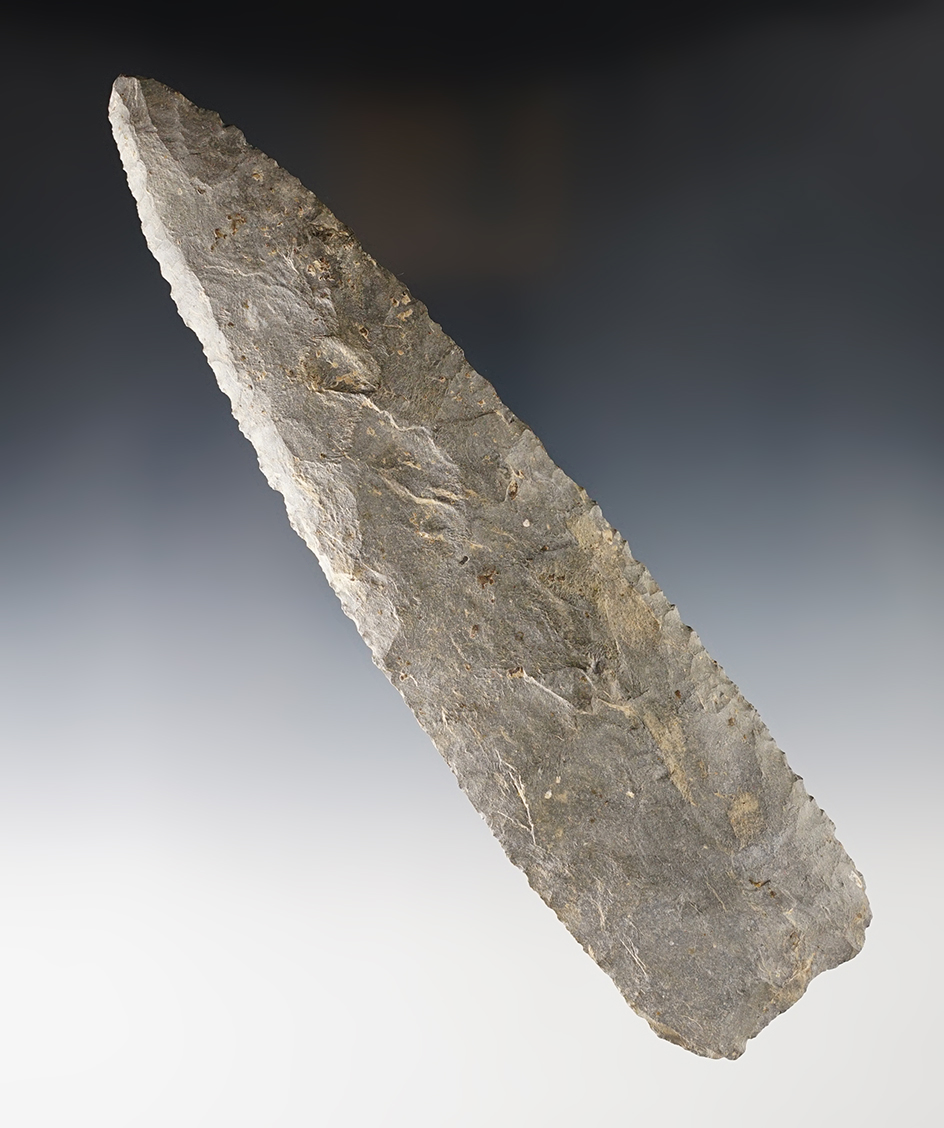 Large 7 3/4" Moline Chert Knife found in Illinois by Ralph Fost. Ex. John Foster collection. 