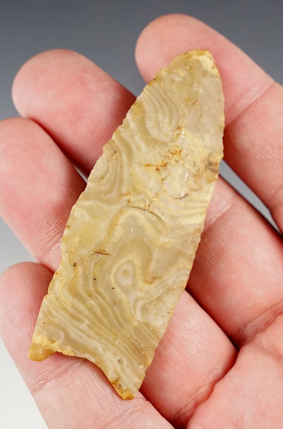 2 7/8" Gainey Clovis made from Jefferson City Chert. Found in South Central Missouri. COA. 