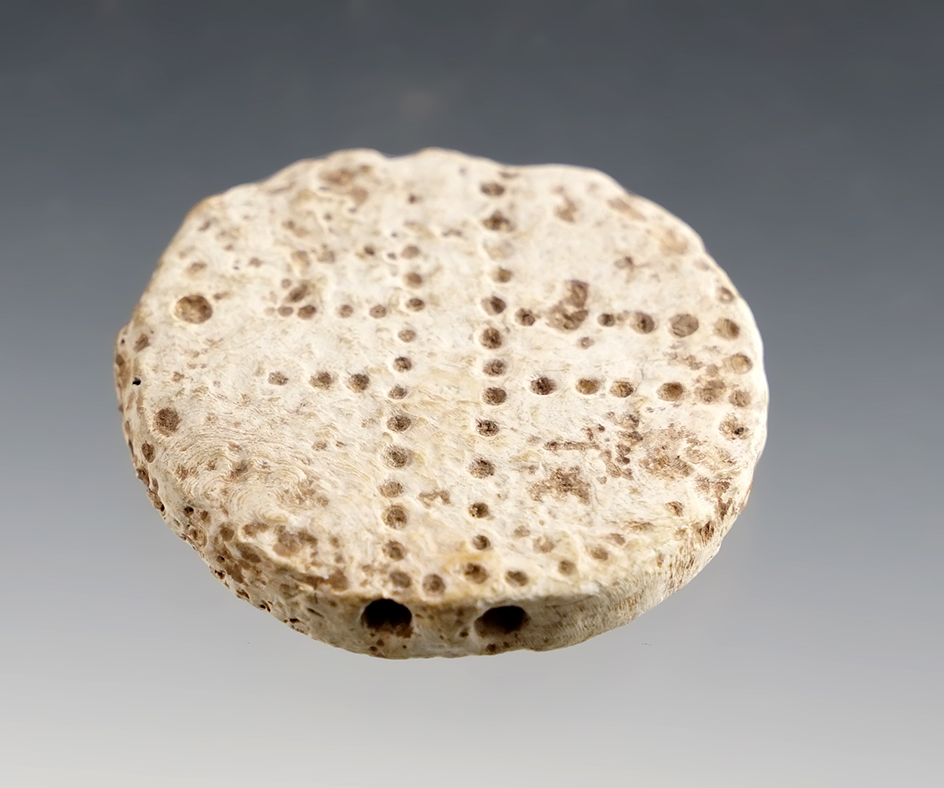 1 3/8" Shell Runtee with double vertical perforations- White Springs Site, Geneva, New York. 