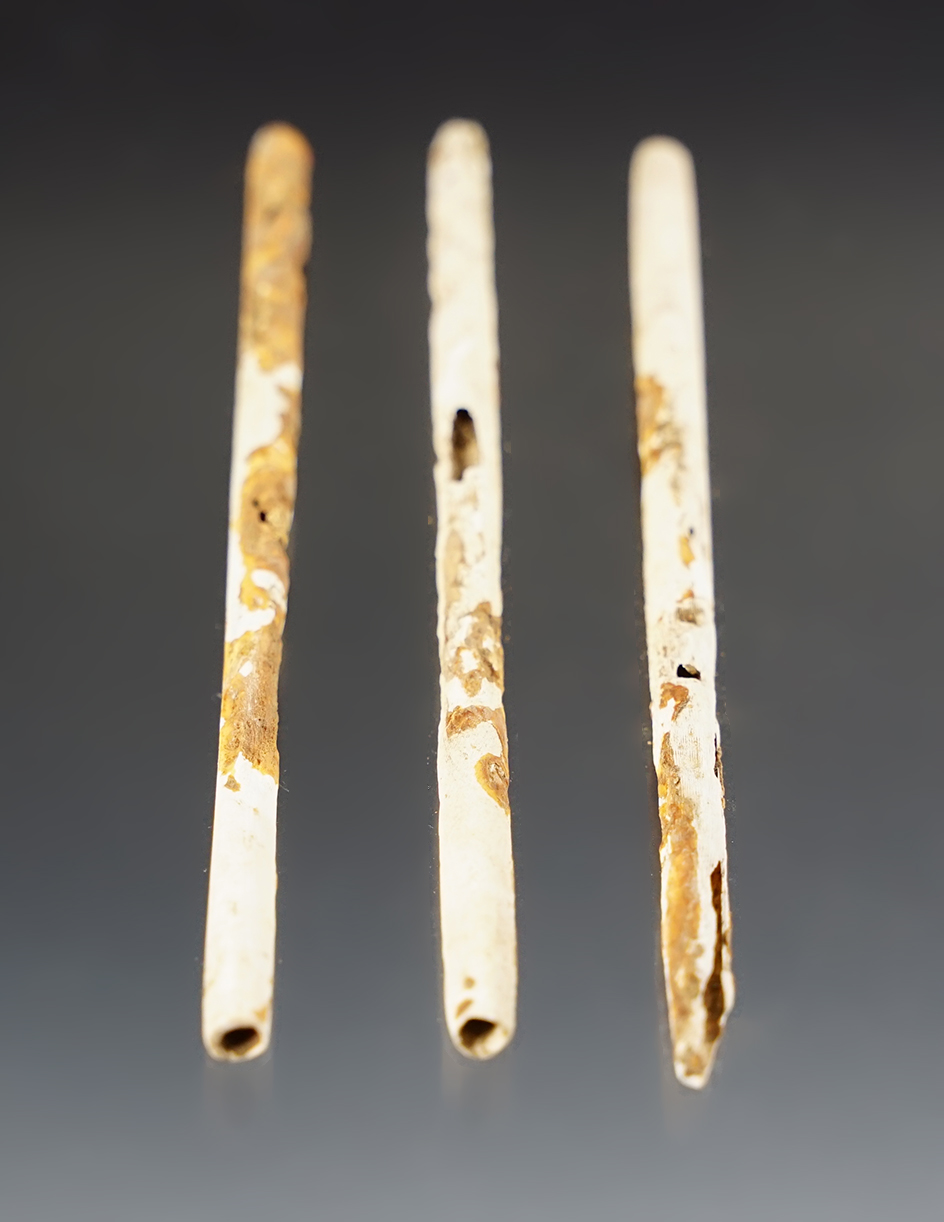 Set of 3 Shell Hair Pipes found at the White Springs Site, Geneva, New York. Largest is 4". 