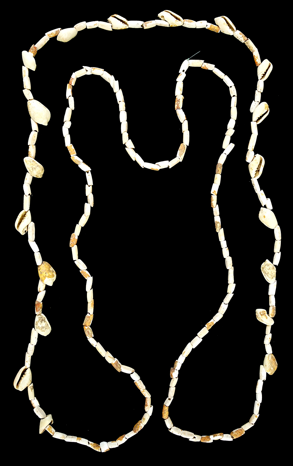 36 1/2" Strand of Shell Beads found at the Citica Site, Little River, Tennessee. 