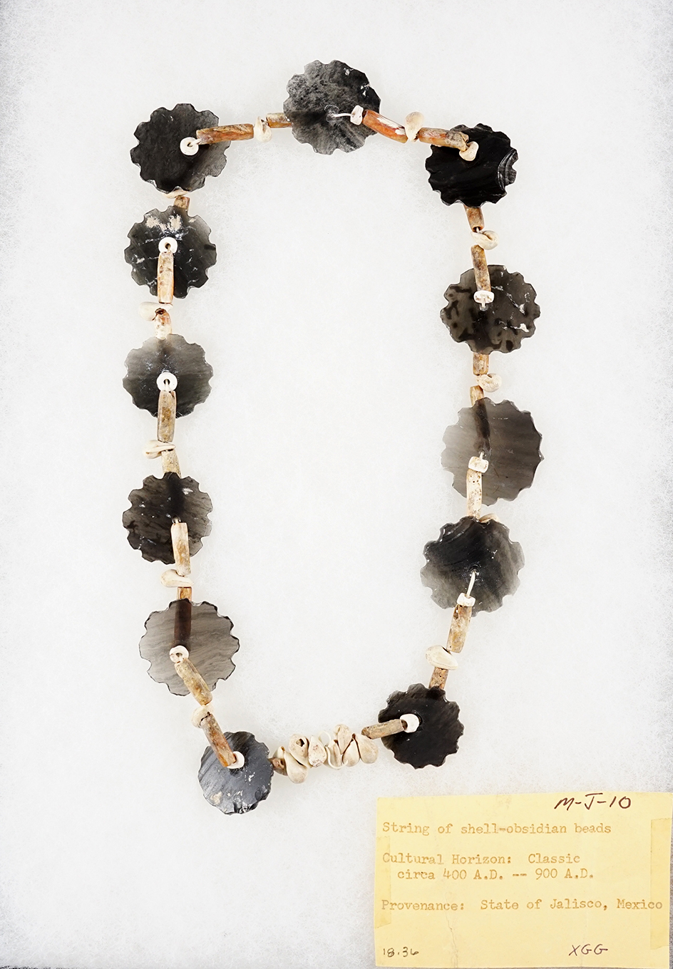 9 1/2" Strand of Shell Beads and Serrated Obsidian Discs recovered in Jalisco, Mexico. 