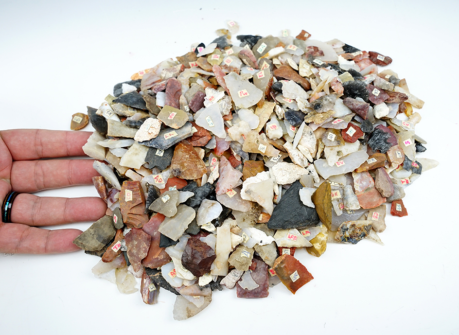 Large group of surface found scrapers, tools and points collected by Robert "Ed" Harris in New Mexico