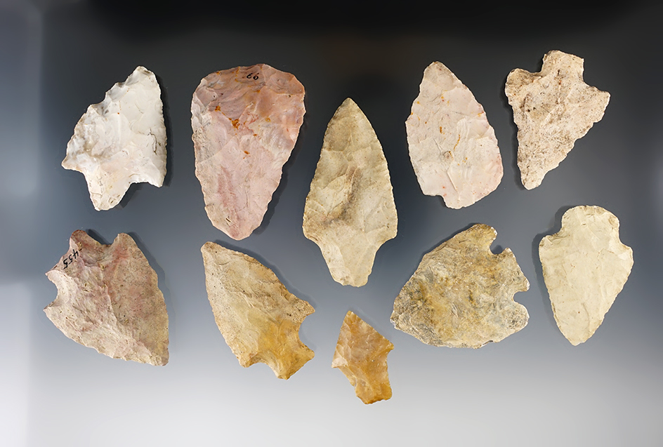 Set of 10 assorted Florida artifacts, largest is 1 11/16".