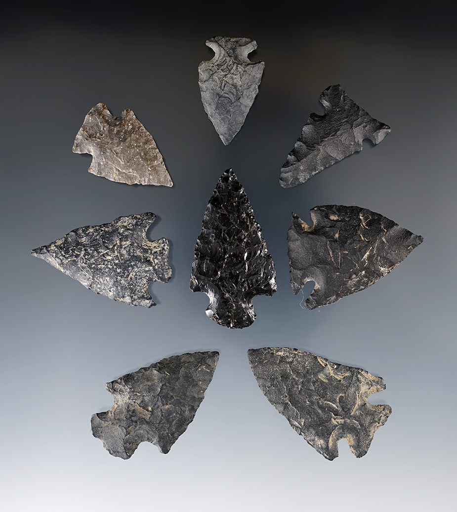 Set of 8 assorted arrowheads found in Twin Falls, Idaho. Largest is 1 13/16".