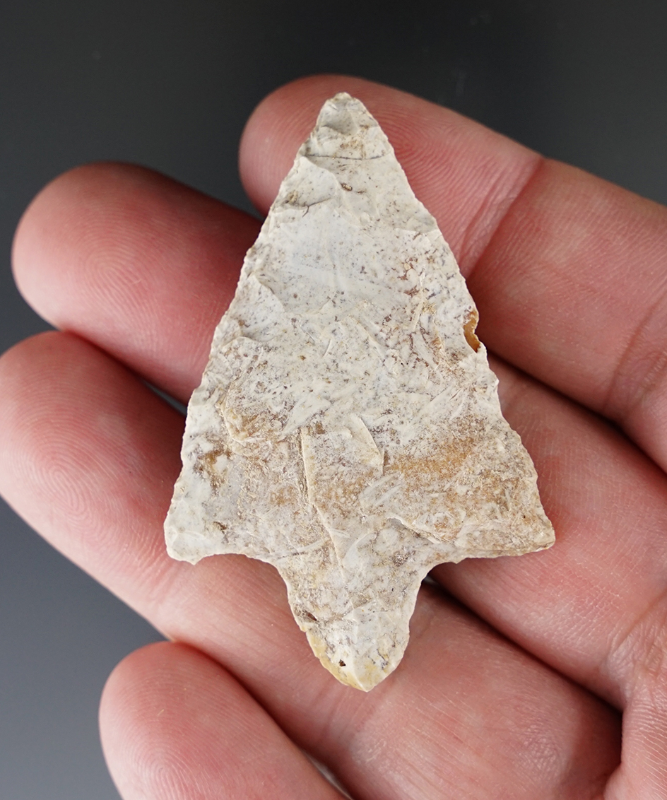 2 3/16" Marion point found at the shell mound on the St. John River, Volusia County Florida.