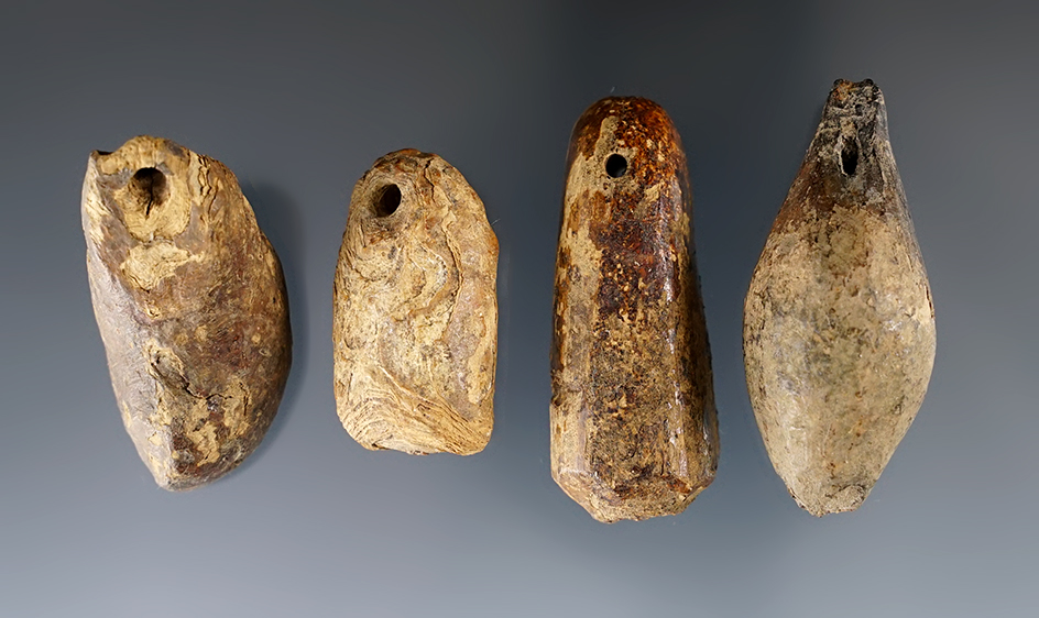 Set of four very old Inuit Walrus tooth weights found in Alaska. Largest is 1 3/4".