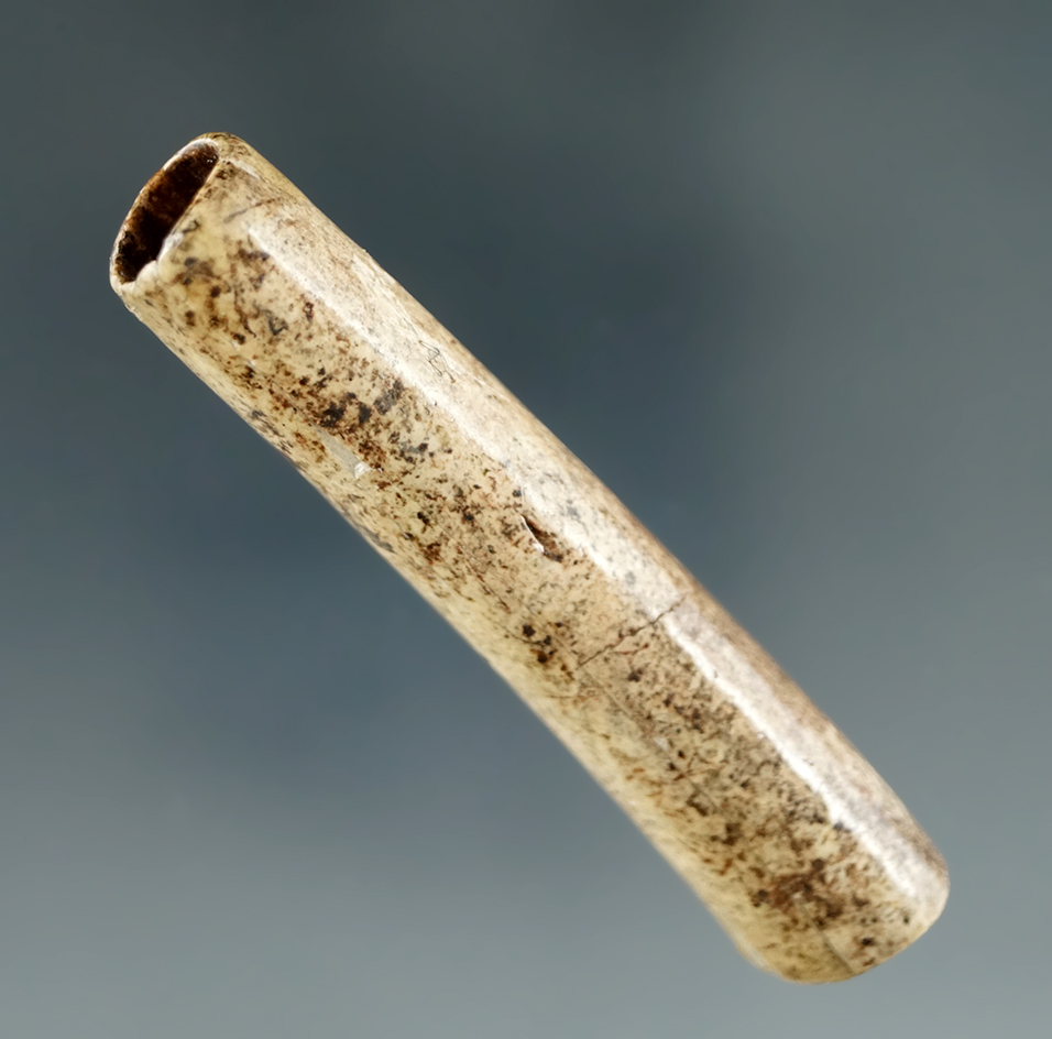 Heavily patinated and nicely styled 2 5/16" bone tube bead found by Bob Edler in Jackson Co., Indian