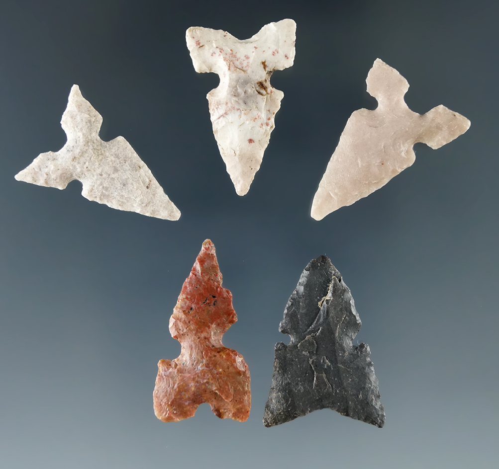 Set of five sidenotch bird points found in Mississippi and Arkansas, largest is 7/8".