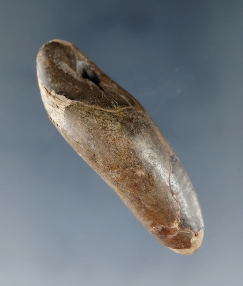 2" drilled elk tooth pendant found in Alaska.