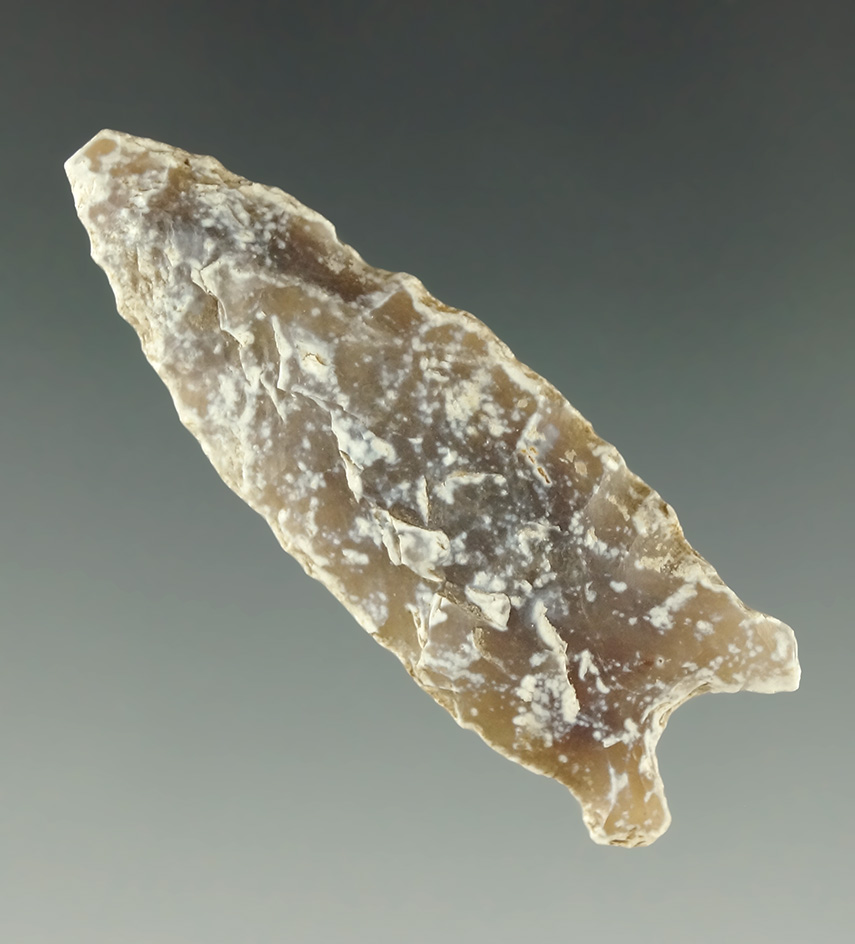 1 3/4" McKean made from Petrified Wood. Found in Mountrail Co., North Dakota.