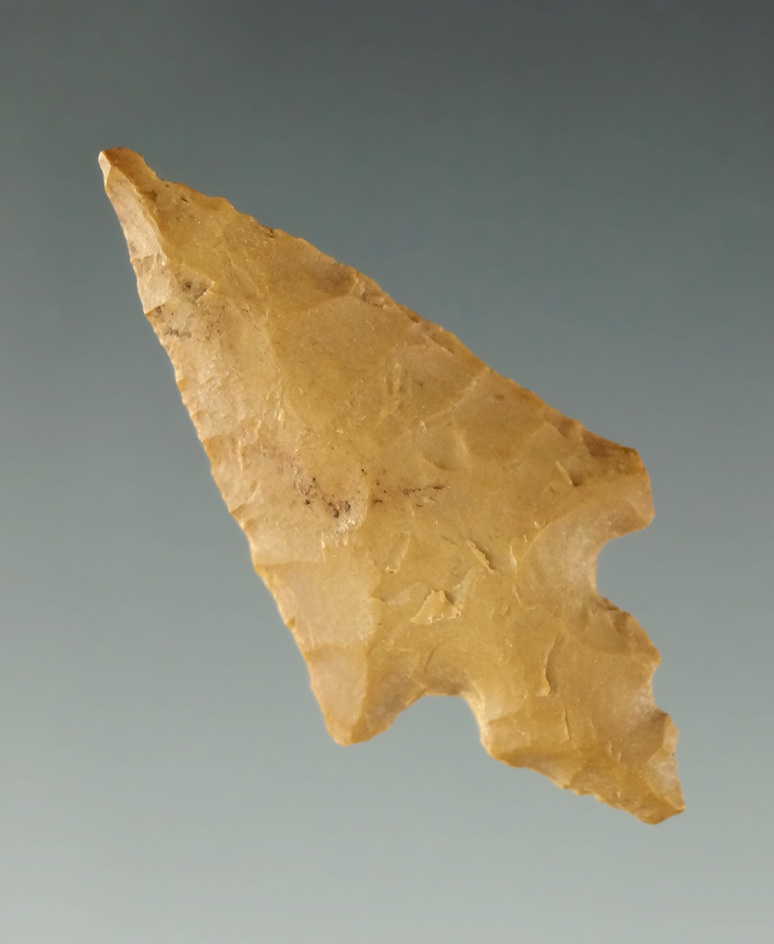 1 5/16" Caddo Culture Hayes Point found in Arkansas.  Ex. Charles Shewey.