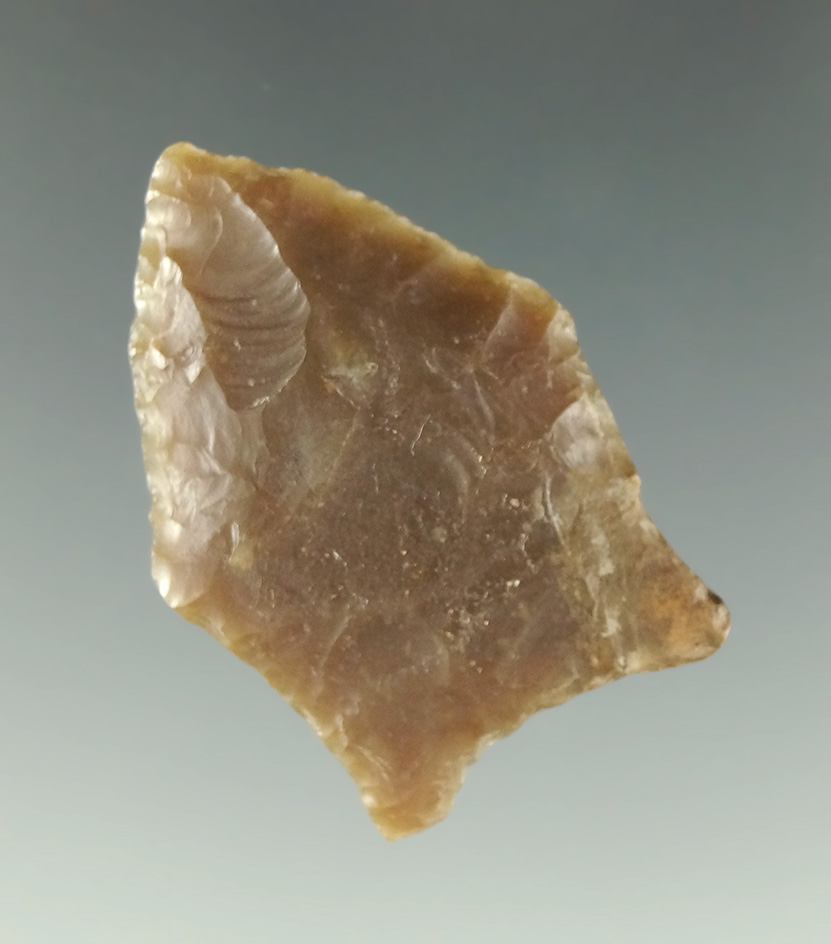 1 7/16" Nebraska Paleo Dart with restoration to one ear.