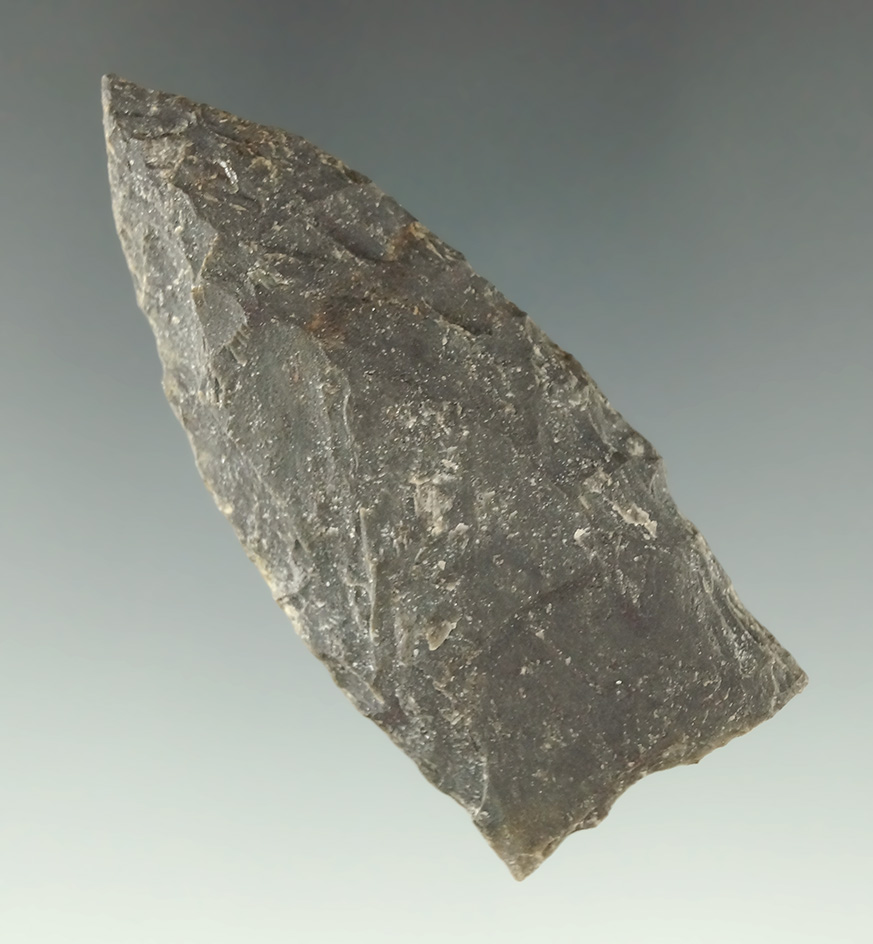 2 5/16" Paleo Dart Point with ground lower edges, found in Virginia.