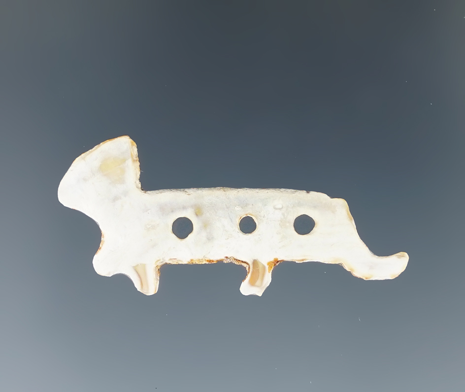 Unique! 1 7/16" drilled shell fox effigy ornament in excellent condition found in New Mexico.