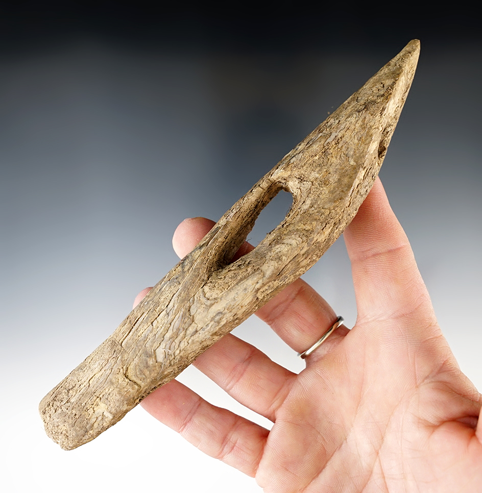 Very large and very old! 6 7/8" Inuit harpoon toggle found in Alaska.