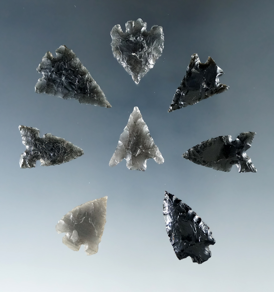 Set of eight obsidian arrowheads found in Humboldt Co.,, Nevada. Largest is 1 1/16".