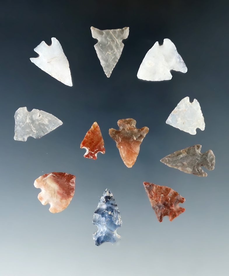 Set of 11 nicely styled bird points, largest is 13/16" found by R. N. Johnson who was a sheep farmer