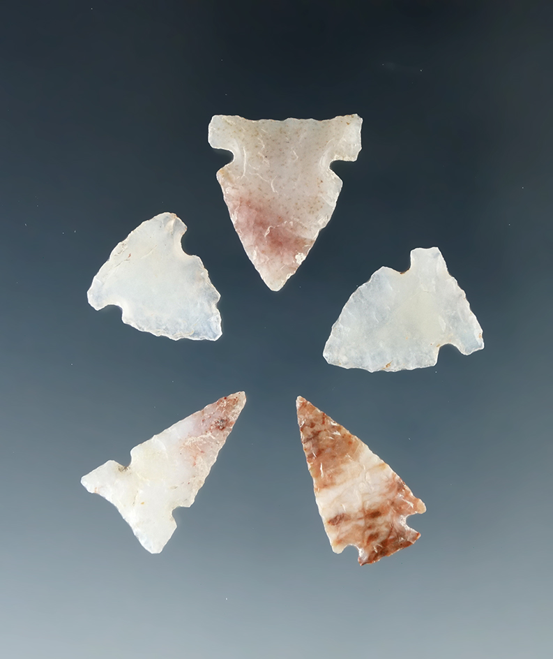 Set of five bird points made from quality material, largest is 3/4" found by R. N. Johnson who was a