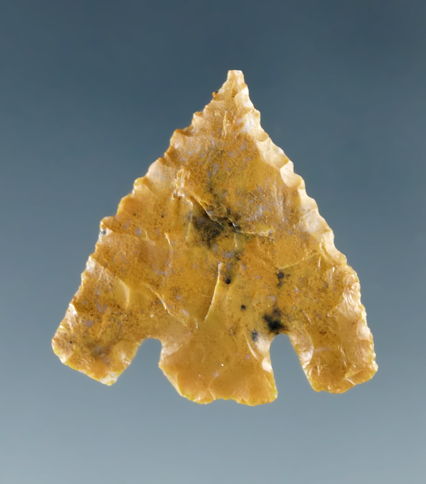 7/8" thin and well flaked Eastgate found in Humboldt Co., Nevada.