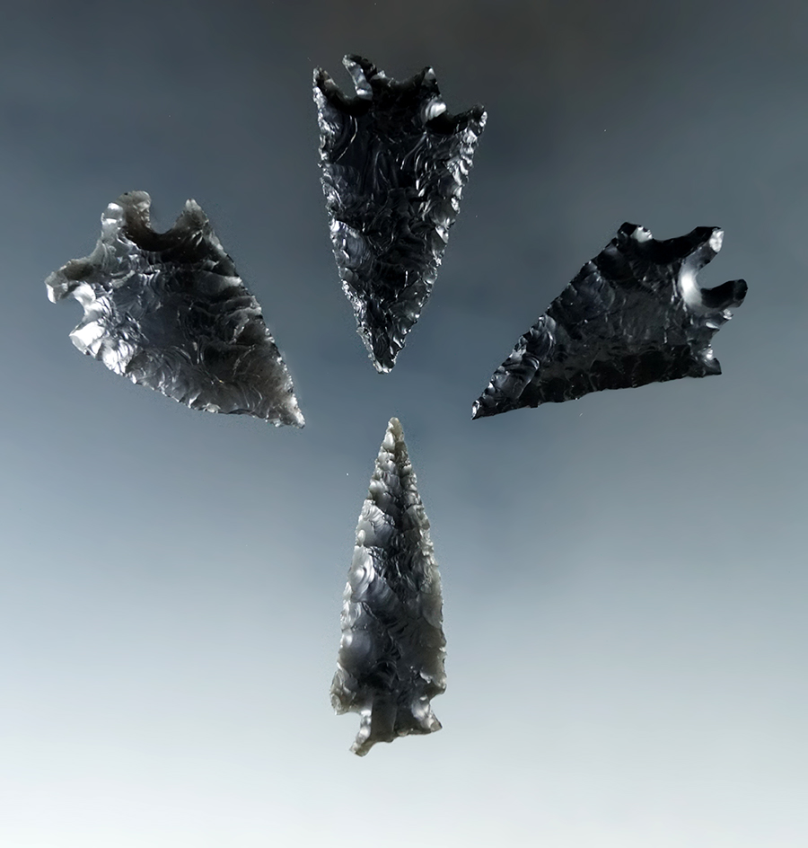 Set of four very nice obsidian arrowheads found in Humboldt Co., Nevada, largest is 1 3/4".