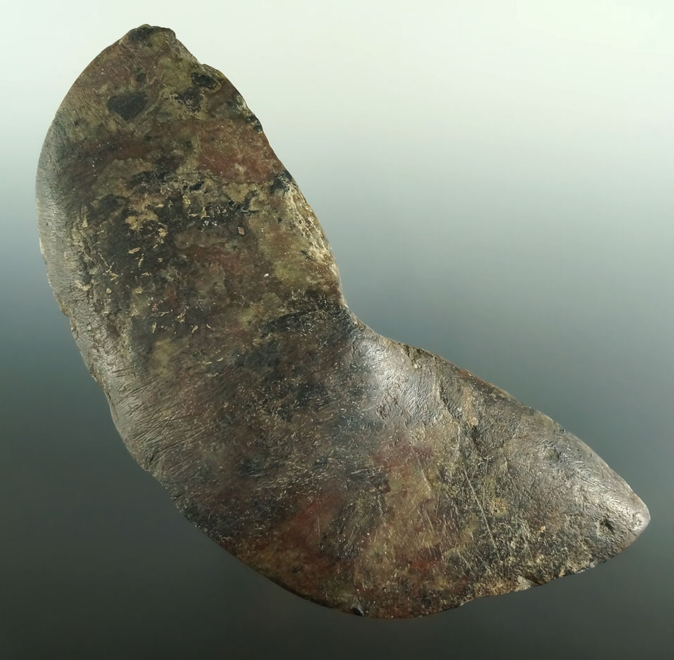 Rare East Coast Bannerstone! very large 7 1/8" wide Winged  Bannerstone with minor restoration.