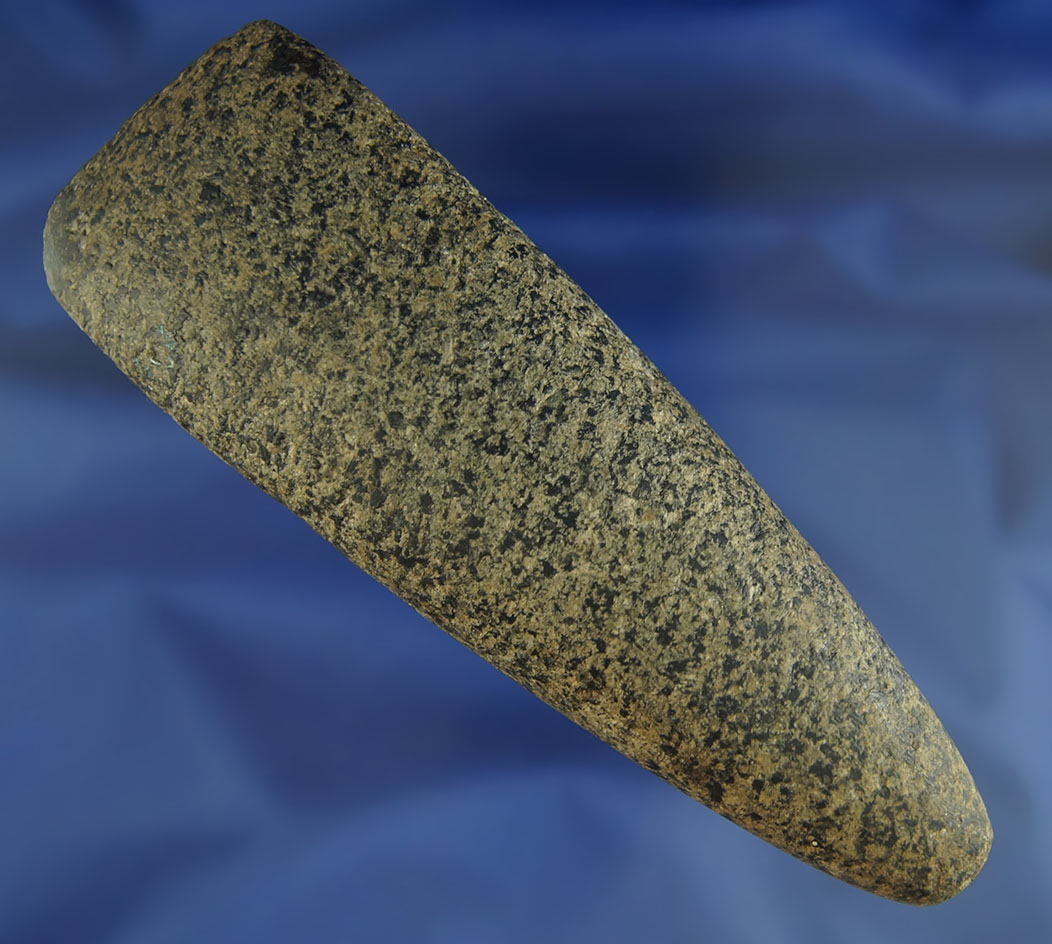 5 5/8" speckled granite Celt found in Kent Co., Michigan. Ex. Sam Speck collection.