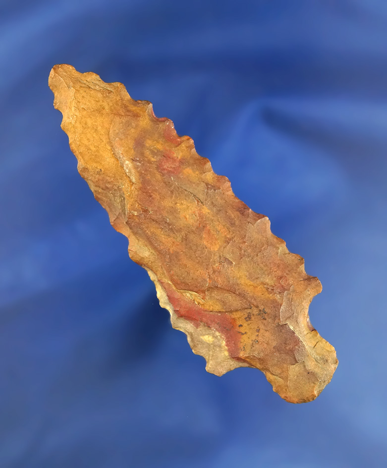 3 1/8" Nicely serrated Datil Arrowhead made from petrified wood found in Arizona.  Bennett COA